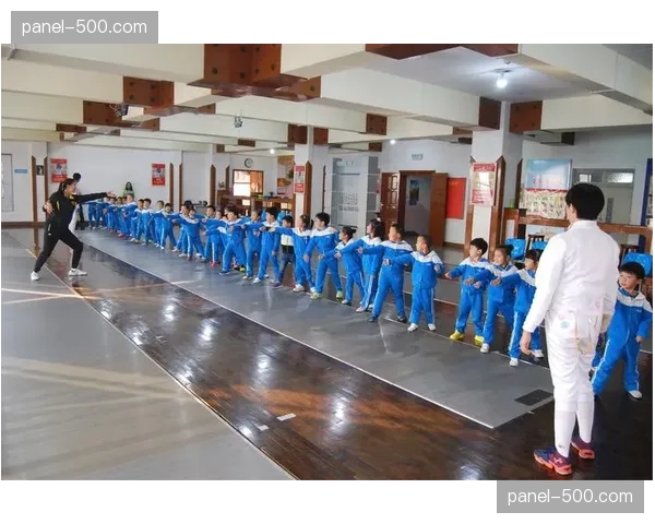 深度报道：意甲“可持续发展法案”对中小俱乐部财务规划的长远影响